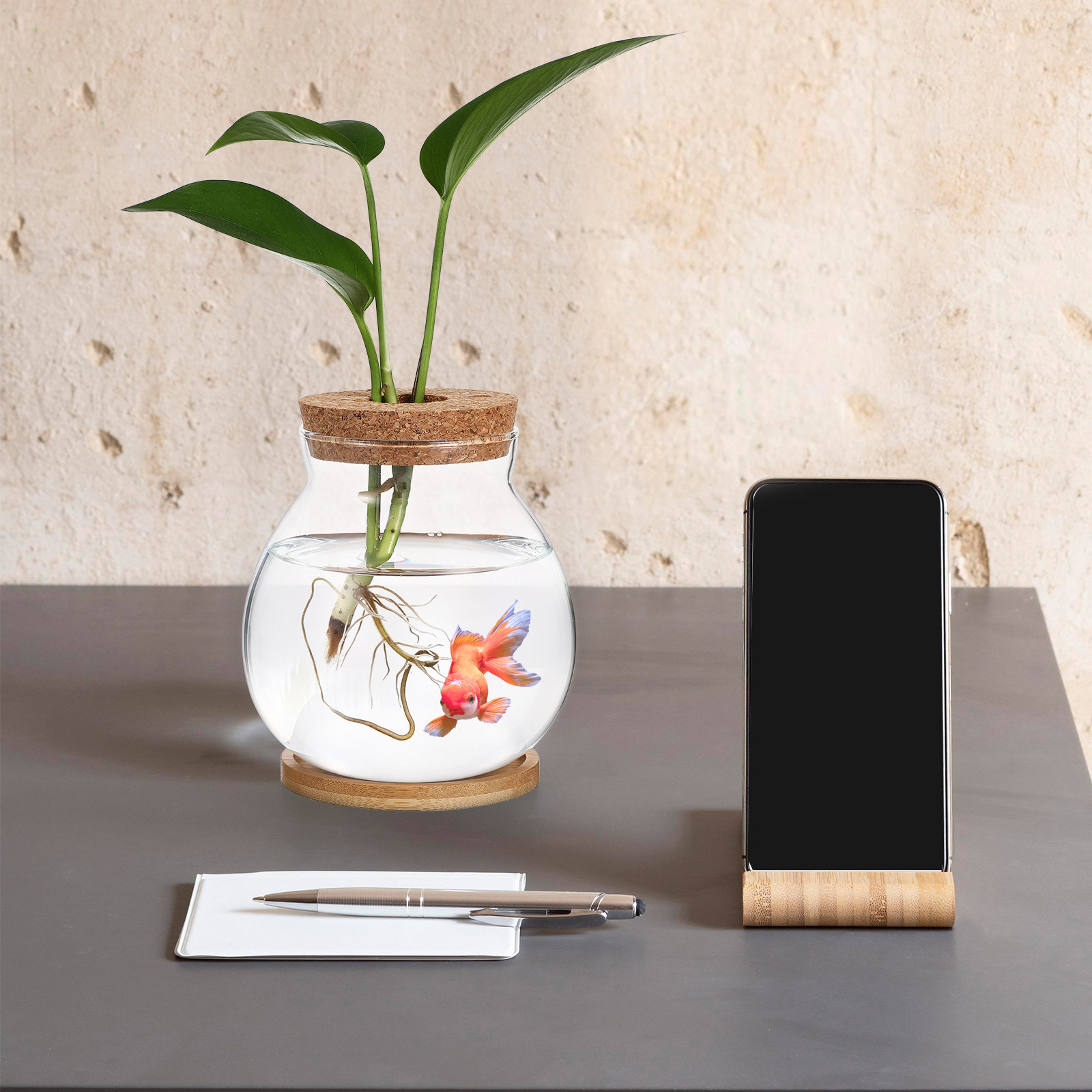 Planted Aquarium Bowl - ガラス製ベタフィッシュボウル デスクトップ水槽 中サイズ ミニ水槽 家庭 オフィス