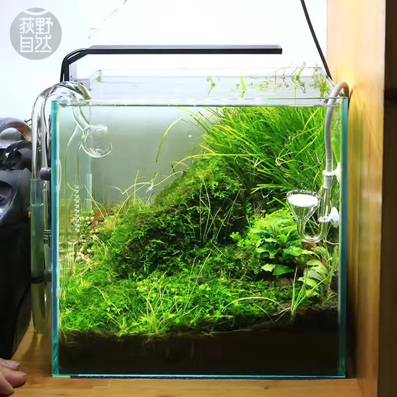 Aquarium Plant Growing - Chihiros C シリーズ ADA スタイル植物成長 LED