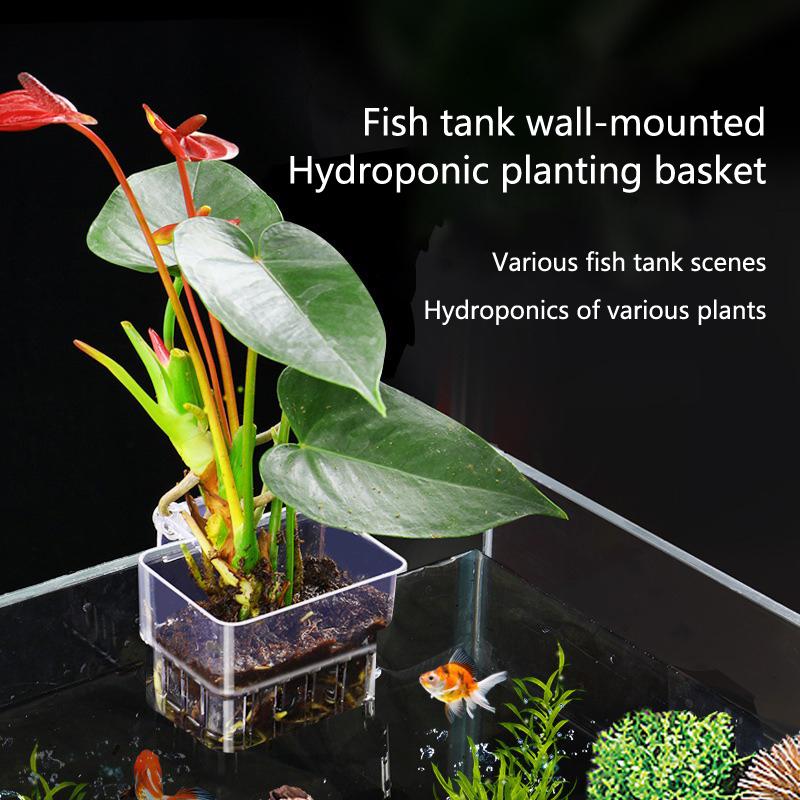 Aquarium Planted Setup - 水槽水耕栽培カップ 2/5/10個入り 水生植物栽培用 耐久性のあるバスケット 魚タンクセットアップ用