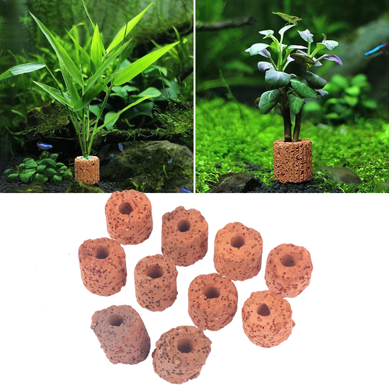 Aquarium Planted Setup - 10 個ミニ水生植物リング水族館植物用バイオリング装飾ホルダー小型水槽セットアップ用