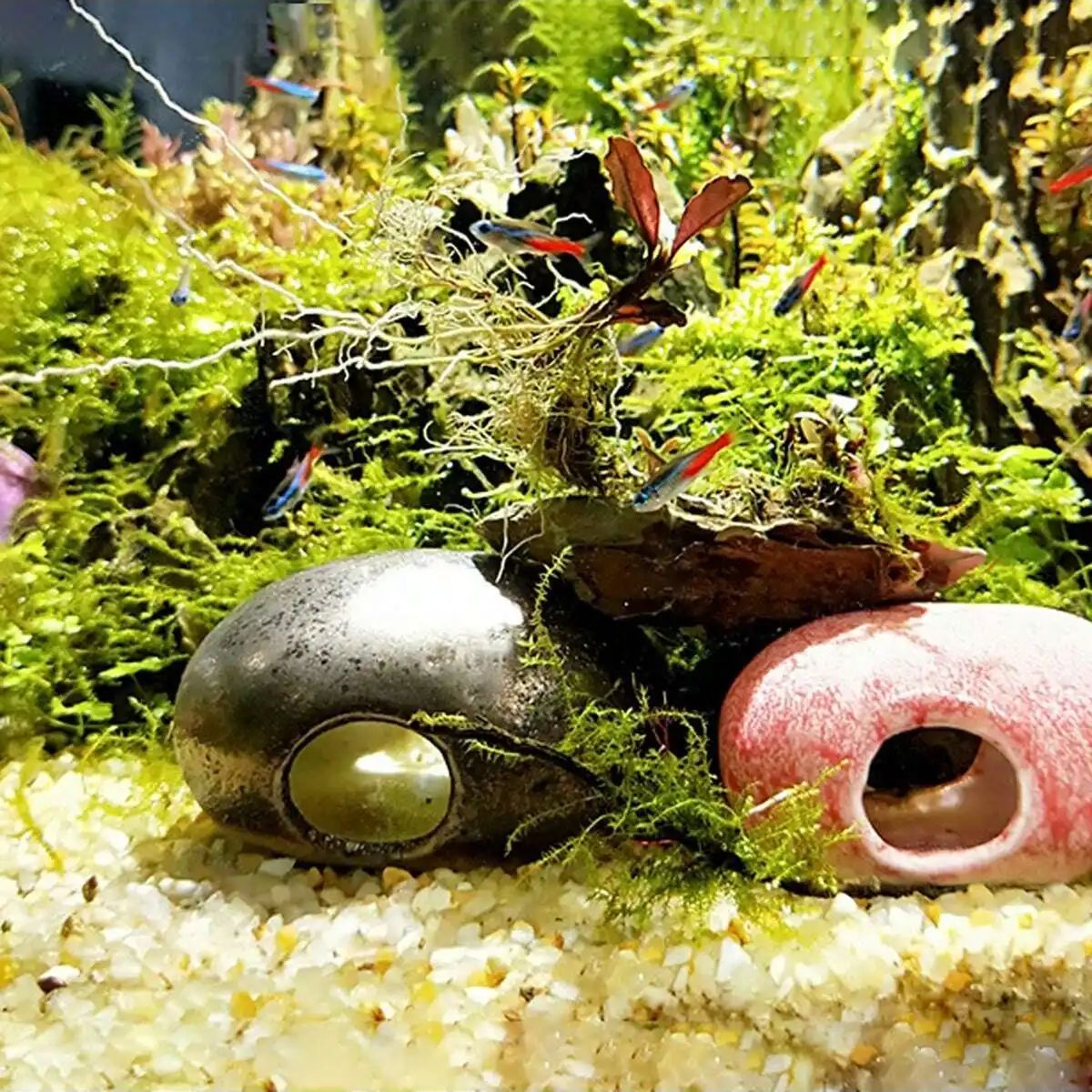 1pc-250 グラム天然結晶砂利石マイクロ風景庭水族館の装 - Aquarium Plant Gravel のレビューと価格