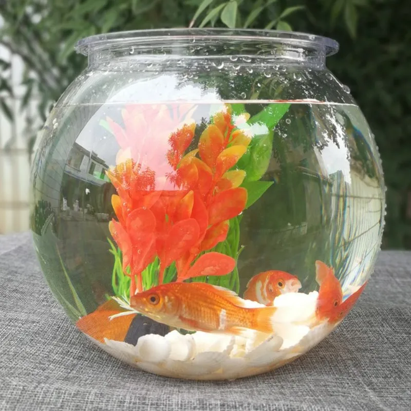 透明なプラスチック製の水族館の緑の植木鉢,金色の魚のボウル, - Planted Aquarium Bowl のレビューと価格