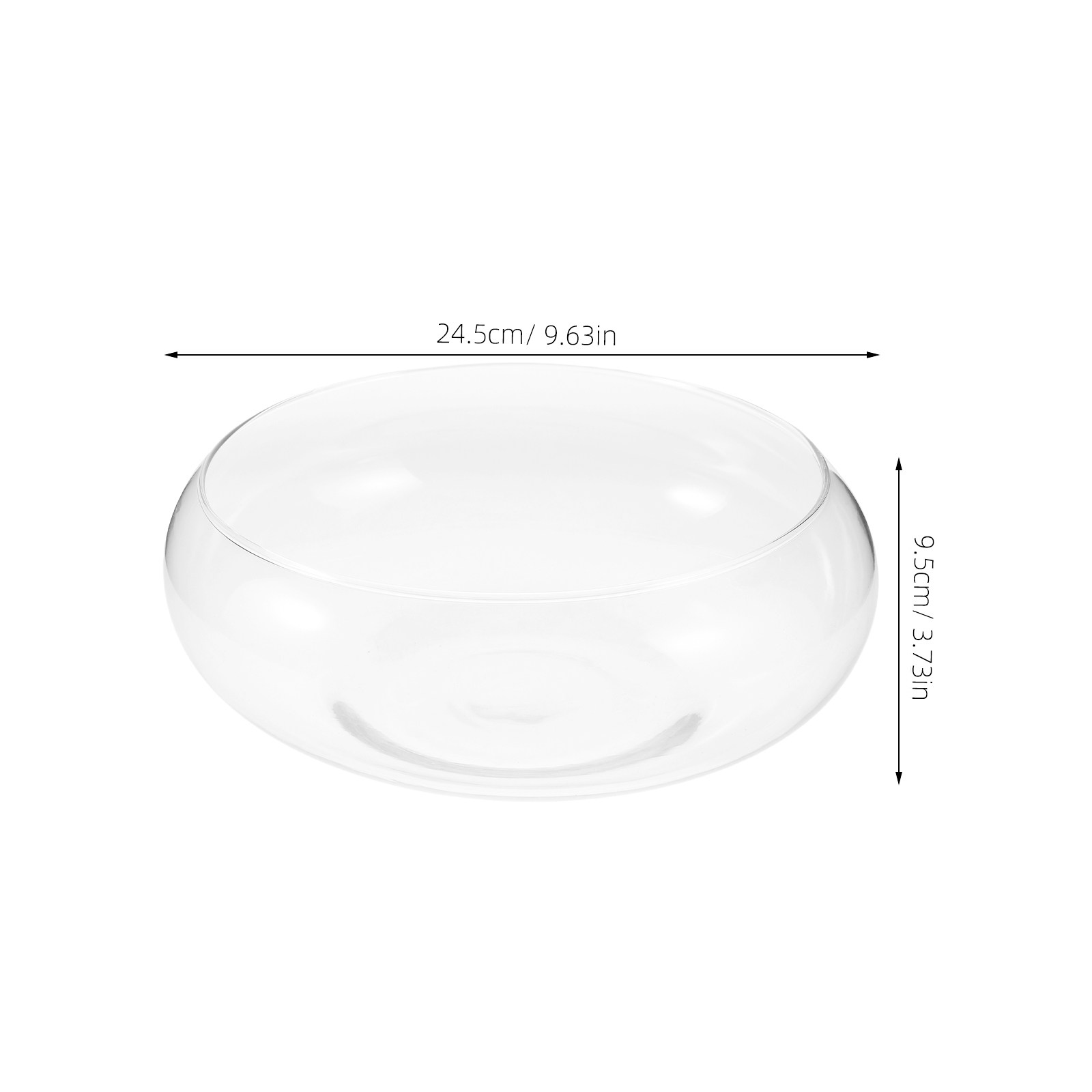ガラス製水耕栽培花瓶ボウル、テラリウム、多肉植物プランター、 - Planted Aquarium Bowl のレビューと価格