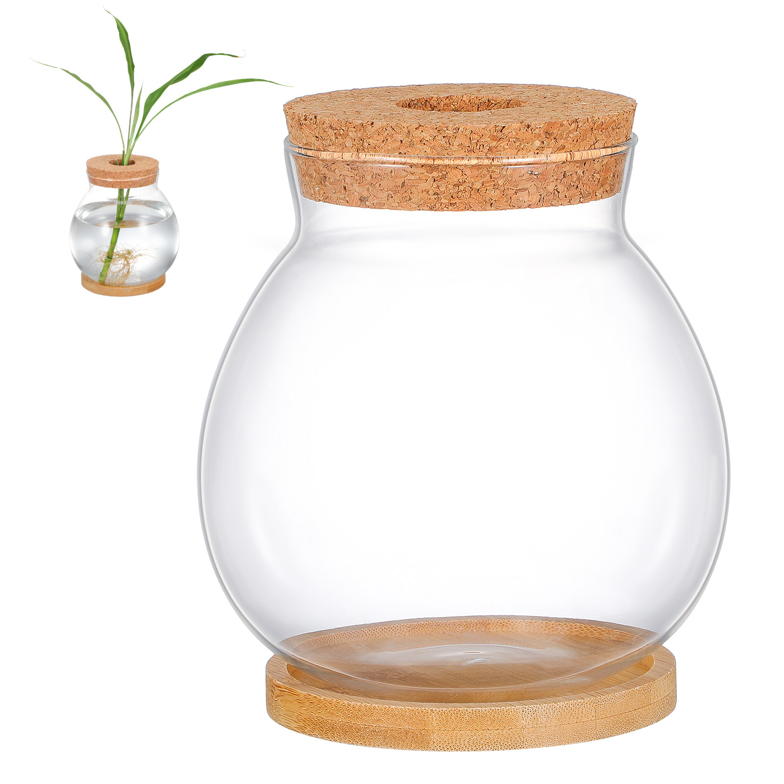 ガラス製ベタフィッシュボウル デスクトップ水槽 中サイズ ミ - Planted Aquarium Bowl のレビューと価格
