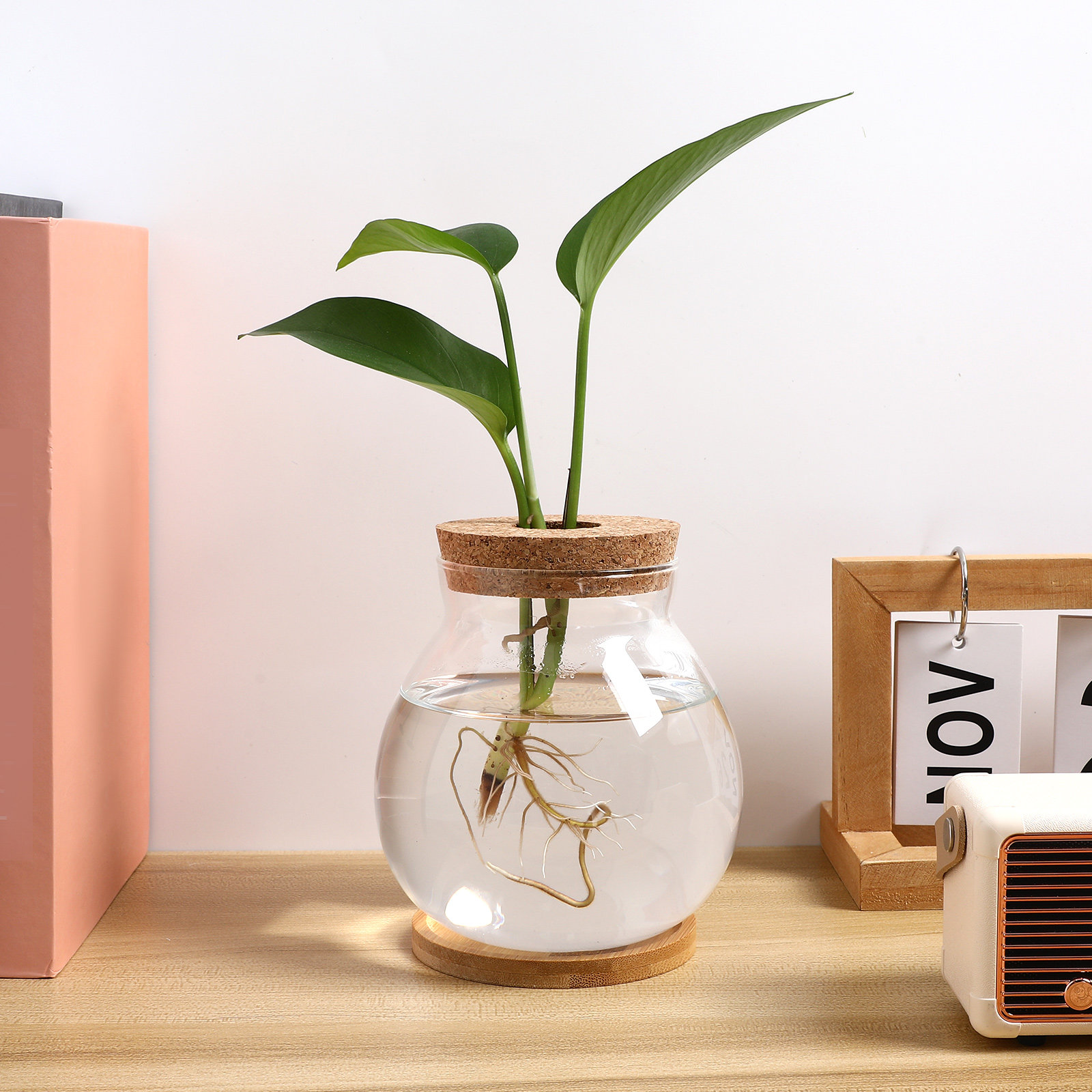ガラス製ベタフィッシュボウル デスクトップ水槽 中サイズ ミ - Planted Aquarium Bowl のレビューと価格