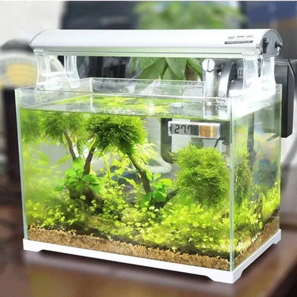 1PC 水族館温度計電子液晶デジタル水槽温度測定水槽温度計水 - Planted Aquarium Temperature のレビューと価格