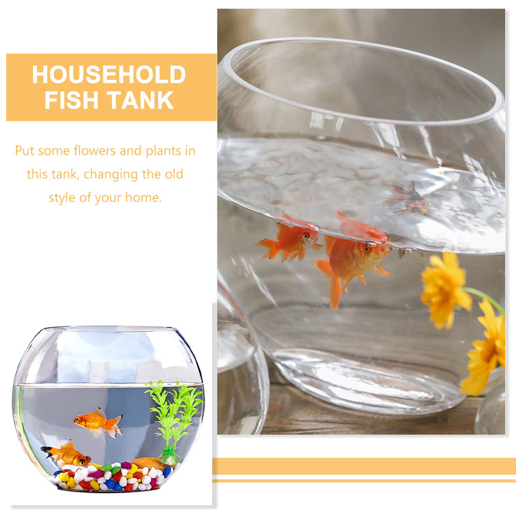 エレガントなガラス製水槽、クリスタルのような透明なデザイン、 - Planted Aquarium Bowl のレビューと価格