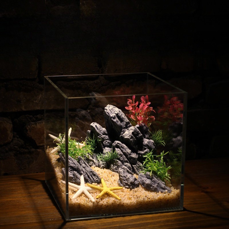 水槽装飾シミュレーション石造りの景石風景水生植物飾り小型水槽 - Aquarium Planted Setup のレビューと価格