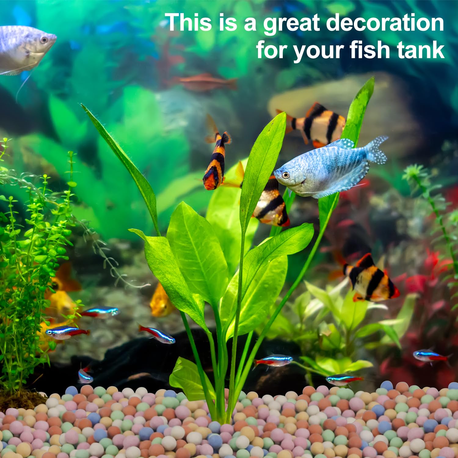 水耕植物装飾カラフルなセラムサイト水族館タンクミネラルサプリ - Aquarium Plant Vitamins のレビューと価格
