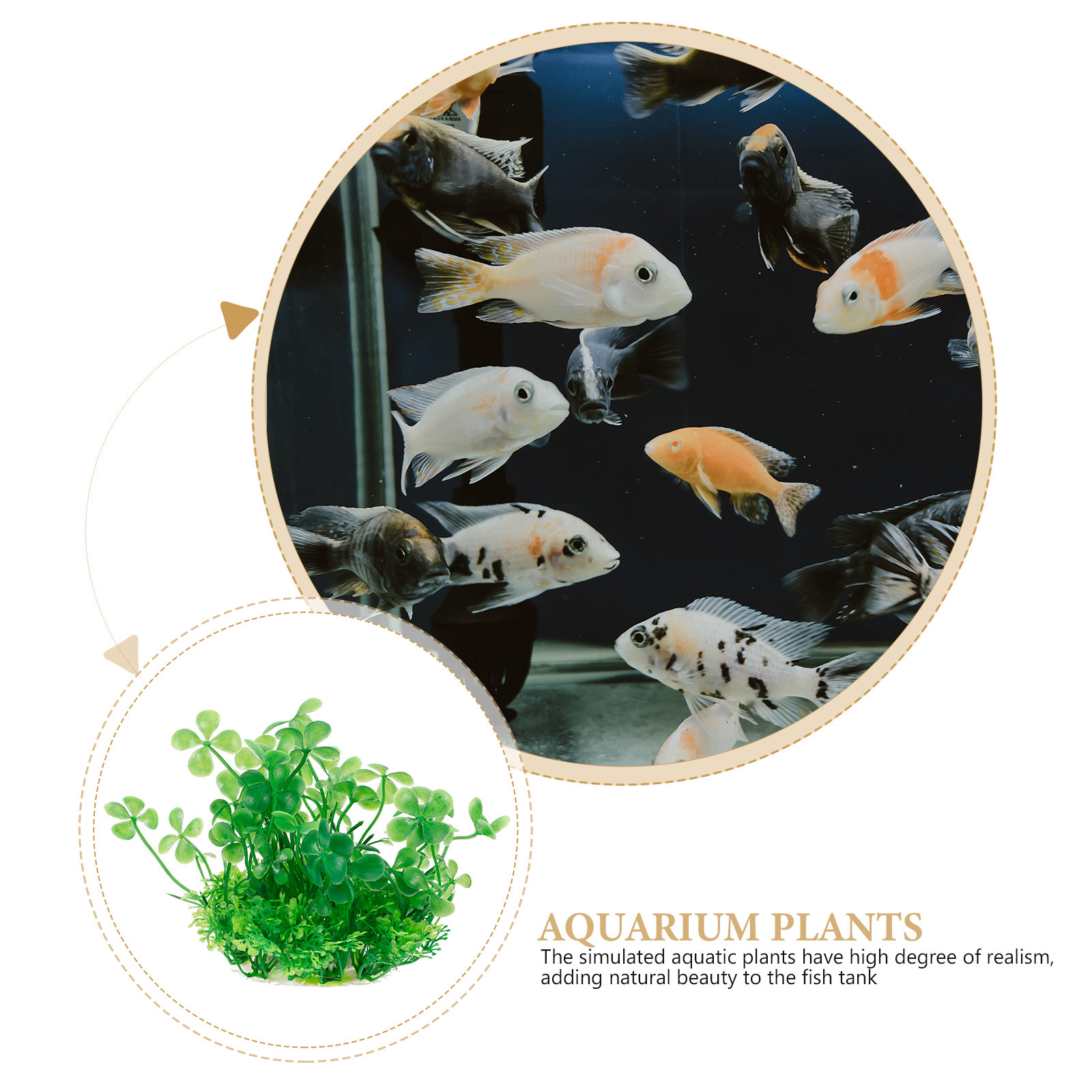 高級感のあるリアルな人工水槽用植物、プラスチック製の水槽装飾 - Aquarium Planted Setup のレビューと価格