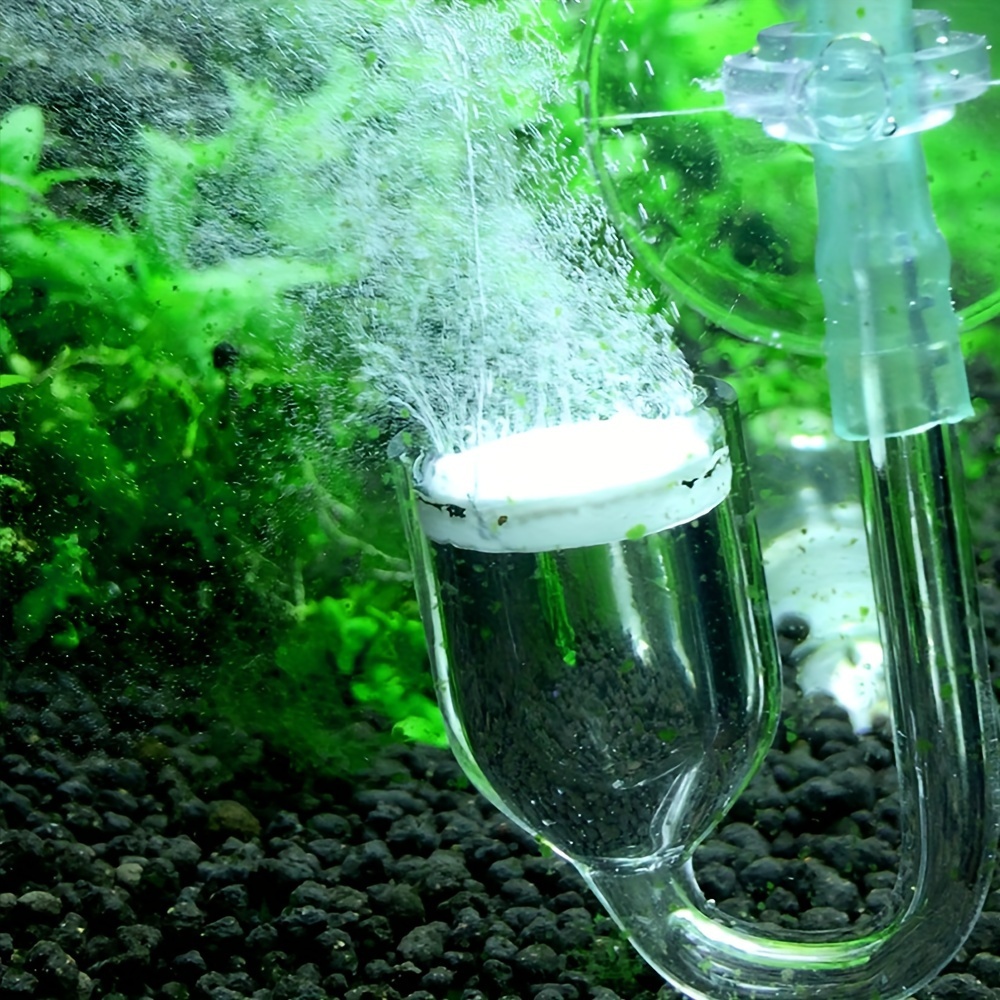 水族館用のCO2噴霧器とディフューザー,バブルカウンター,吸 - Aquarium Plant No Co2 のレビューと価格