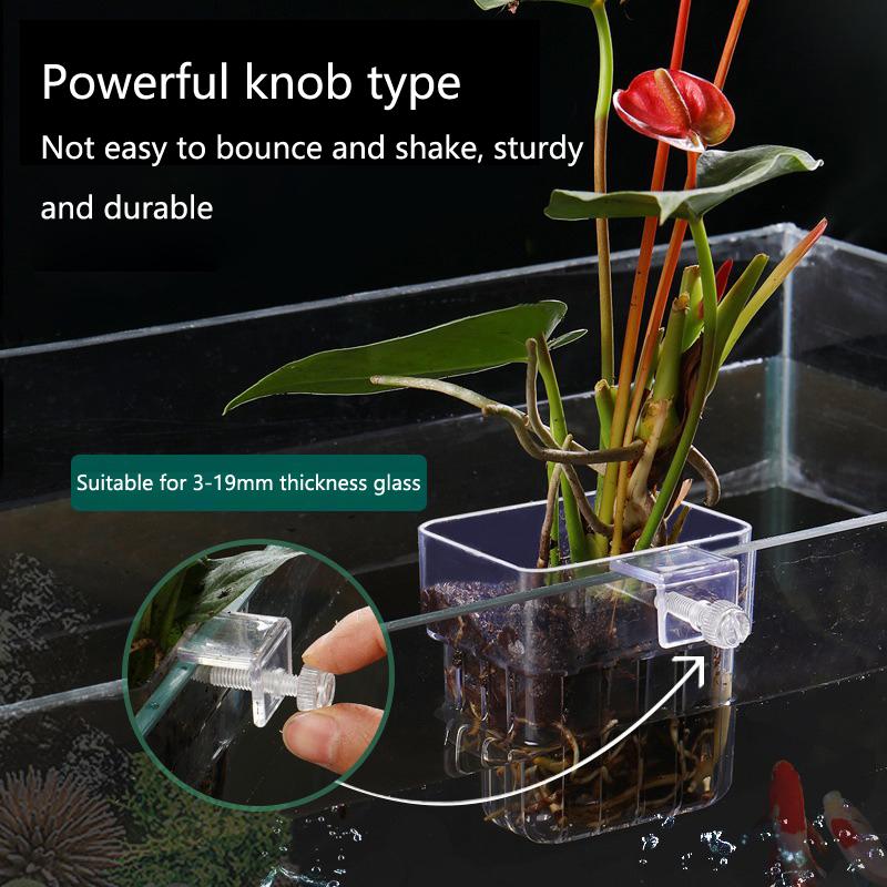 水槽水耕栽培カップ 2/5/10個入り 水生植物栽培用 耐久 - Aquarium Planted Setup のレビューと価格