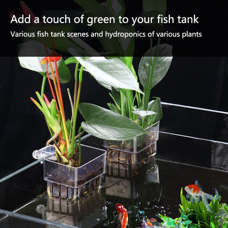 水槽水耕栽培カップ 2/5/10個入り 水生植物栽培用 耐久 - Aquarium Planted Setup のレビューと価格