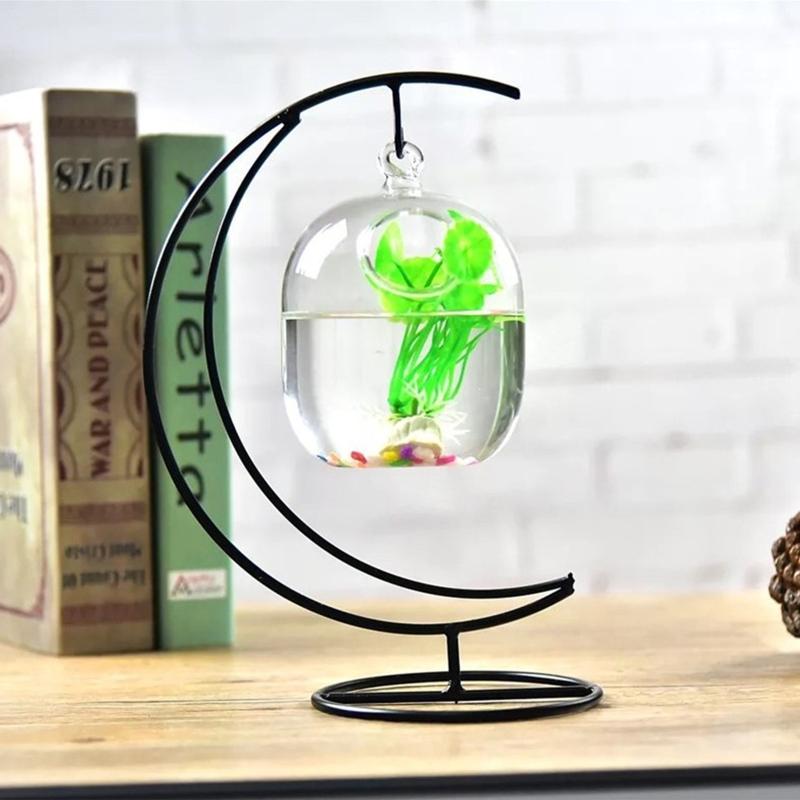 62kd吊り下げられた透明なハンギングガラス魚タンク注入ボト - Planted Aquarium Bowl のレビューと価格