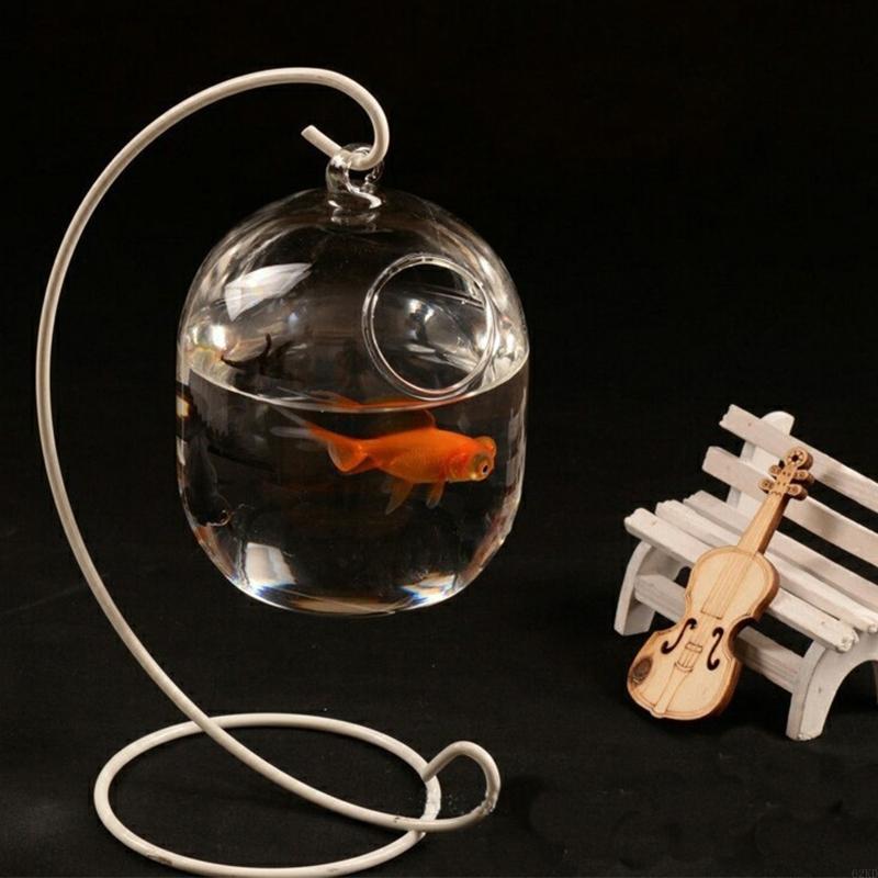 62kd吊り下げられた透明なハンギングガラス魚タンク注入ボト - Planted Aquarium Bowl のレビューと価格