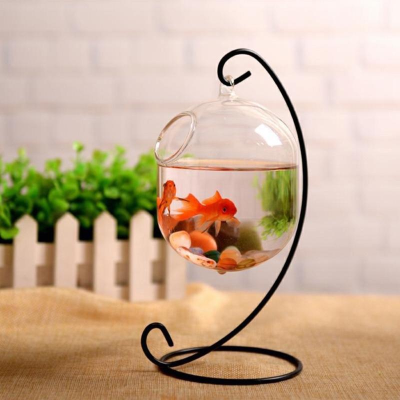 62kd吊り下げられた透明なハンギングガラス魚タンク注入ボト - Planted Aquarium Bowl のレビューと価格