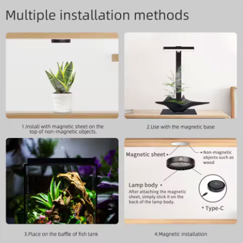 WEEK AQUA Mag Pro Mag Max Nano - Aquarium Plant Growing のレビューと価格