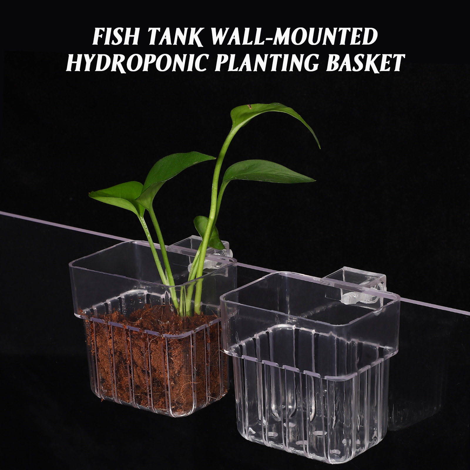 4個入り水槽用植物ホルダー 透明アクリル製 魚タンク用植物カ - Aquarium Planted Setup のレビューと価格