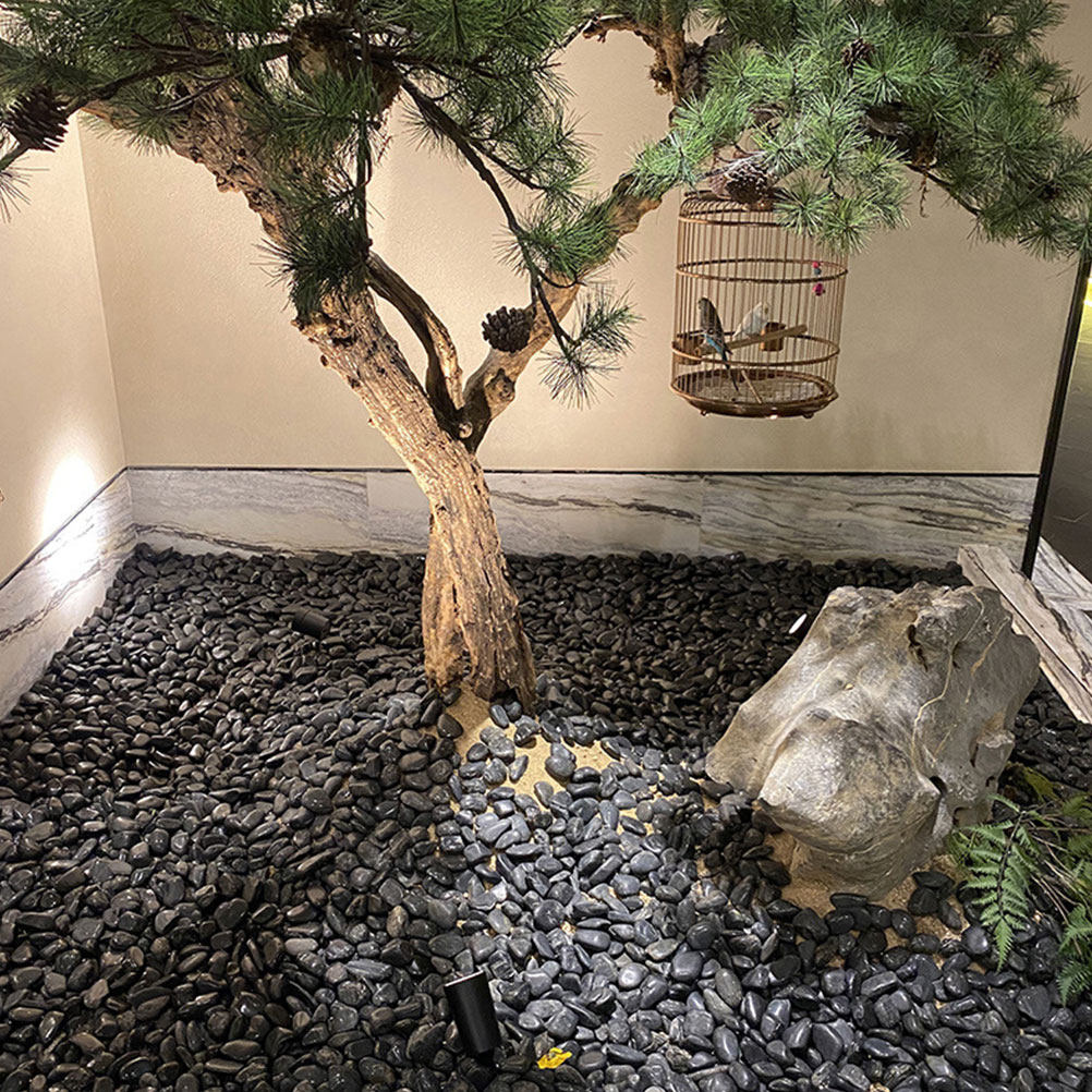 1セット 水槽用小石 天然造景石 黒色植木鉢装飾砂利 魚タン - Aquarium Plant Gravel のレビューと価格