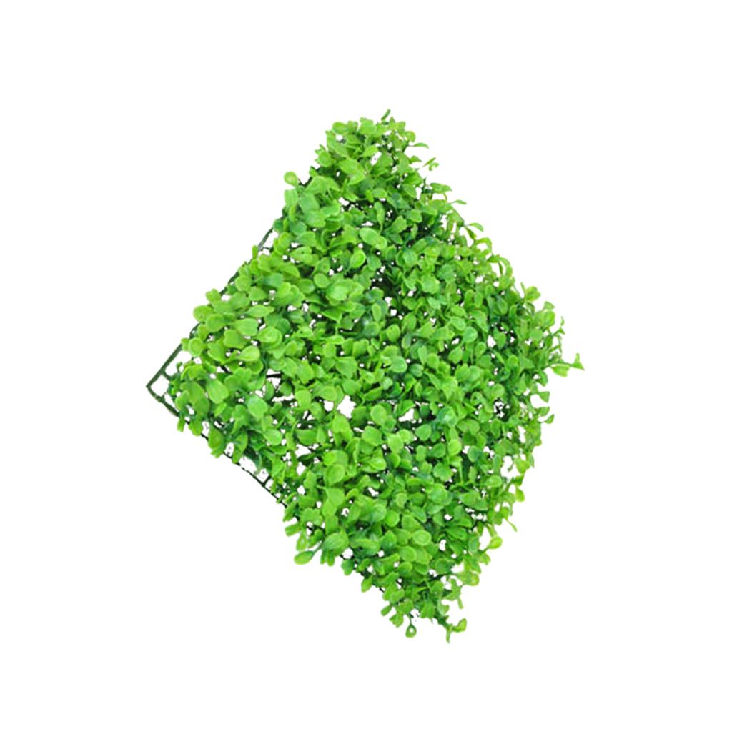合成樹脂プラスチック製人工芝生、水槽、屋外池、生態水槽セット - Aquarium Planted Setup のレビューと価格