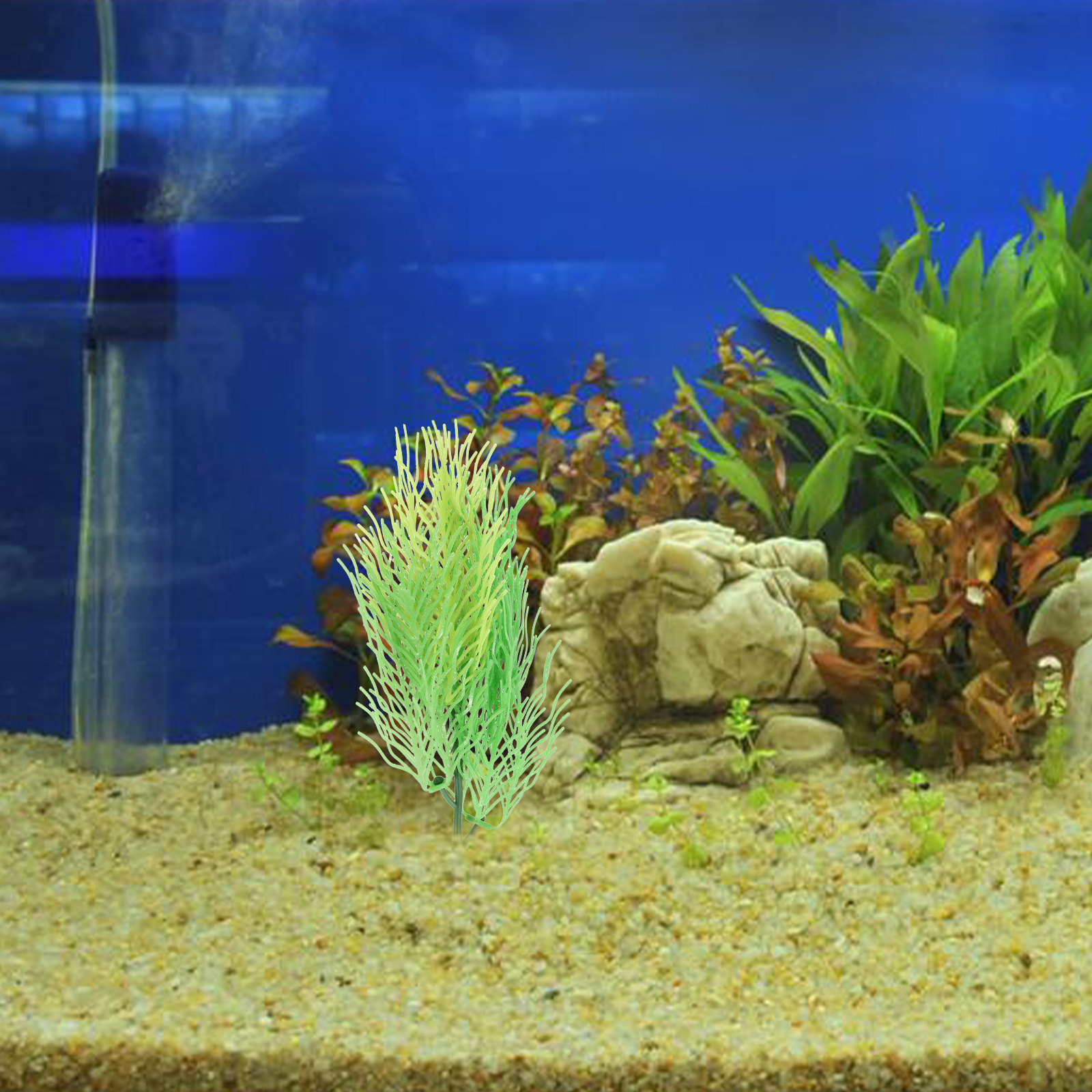 模擬ホーンワート水槽植物装飾品 軽量コンパクトな水槽飾り 自 - Aquarium Planted Setup のレビューと価格