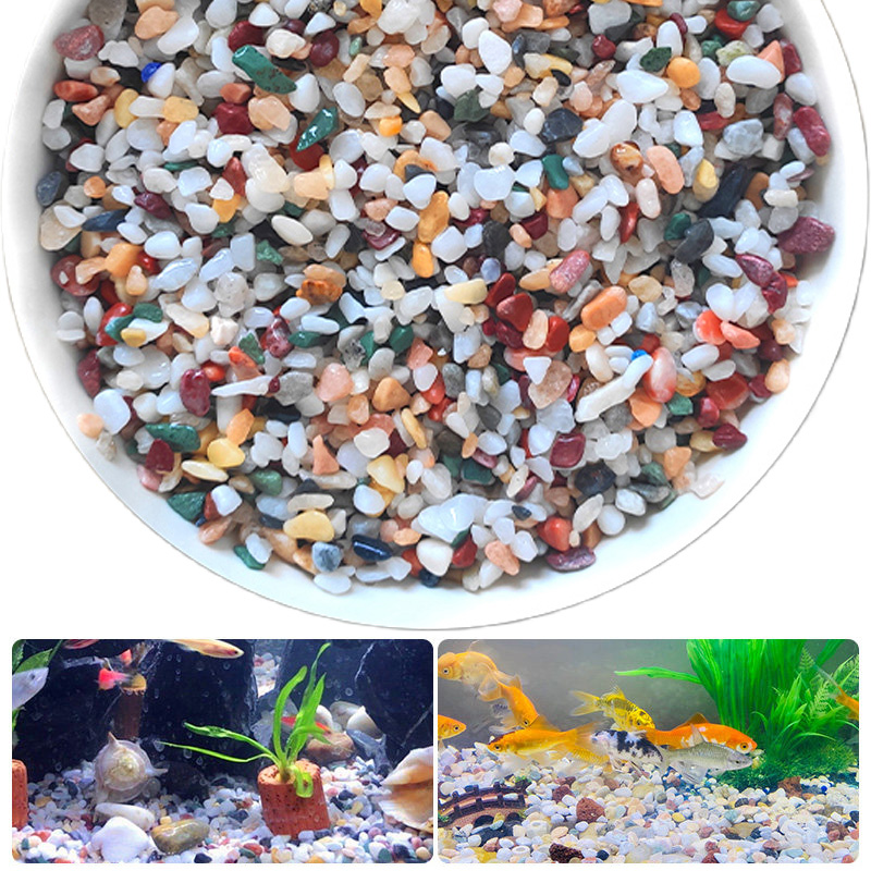 天然砂利石 200 〜 1000 グラムマイクロ風景庭園水槽 - Aquarium Plant Gravel のレビューと価格
