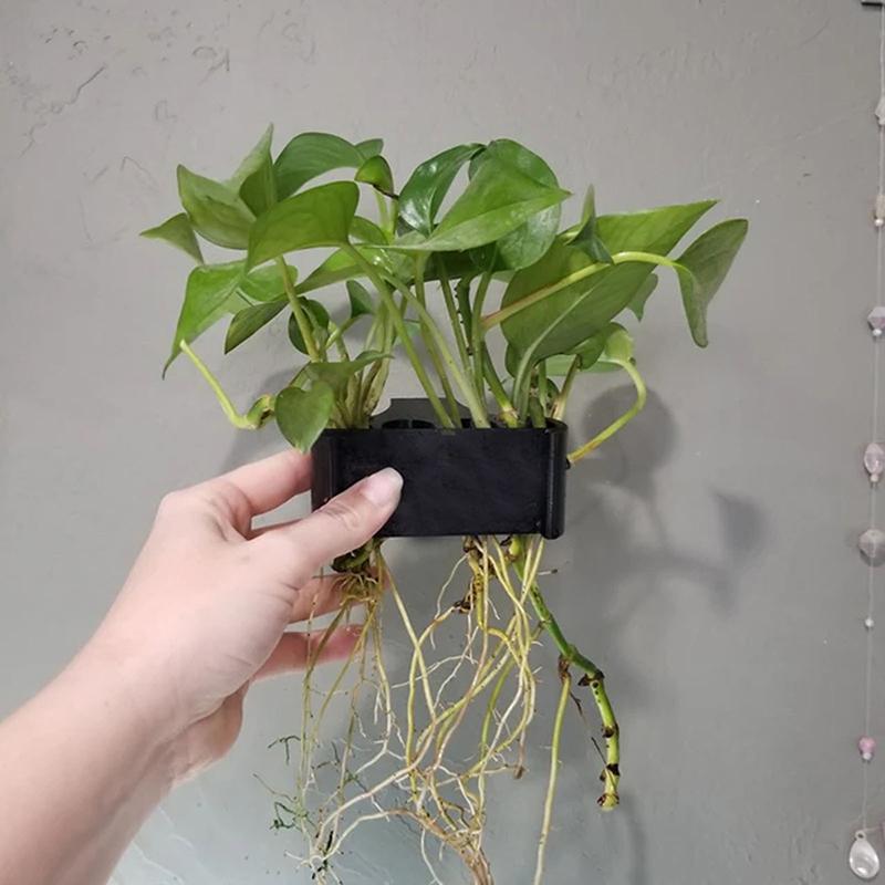1 2 3個入り水槽植物サポートバスケット栽培ラック水生植物 - Aquarium Planted Setup のレビューと価格