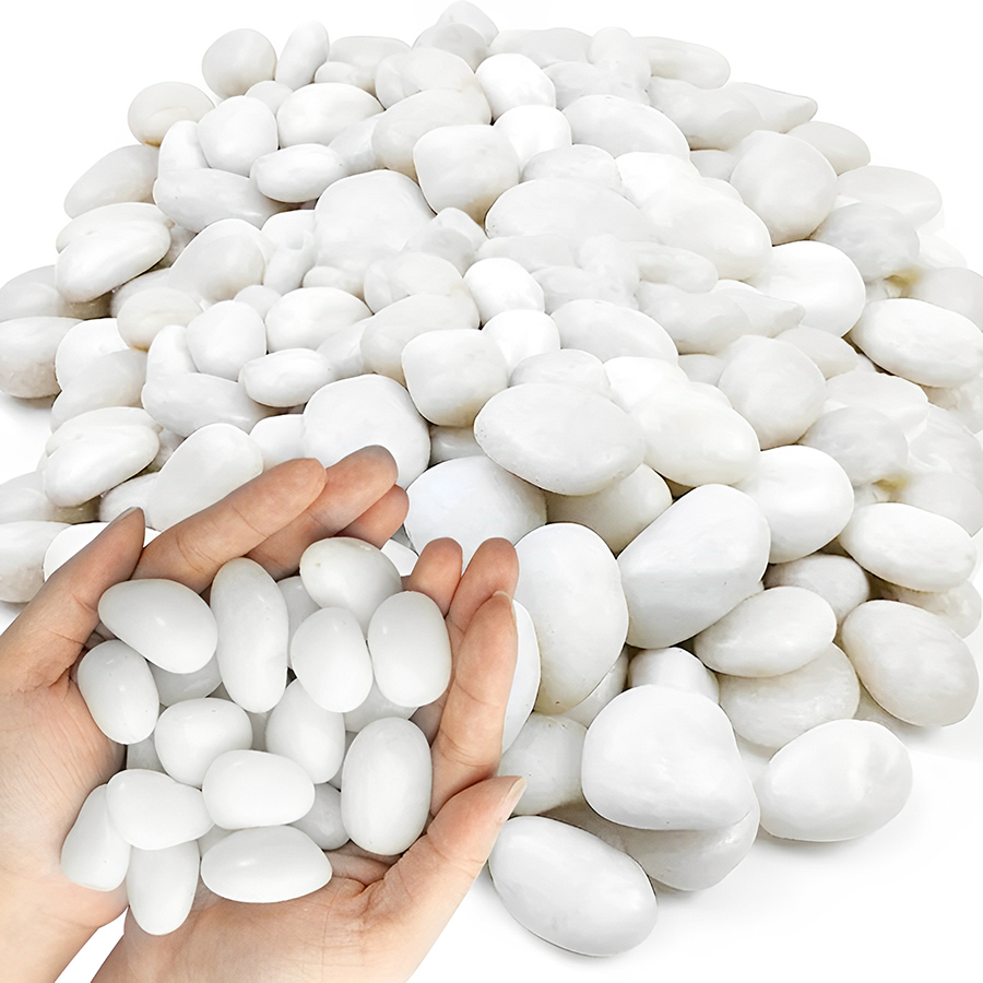 1/2ポンド 白色磨き済み水槽用小石 滑らかな水槽用砂利 ア - Aquarium Plant Gravel のレビューと価格