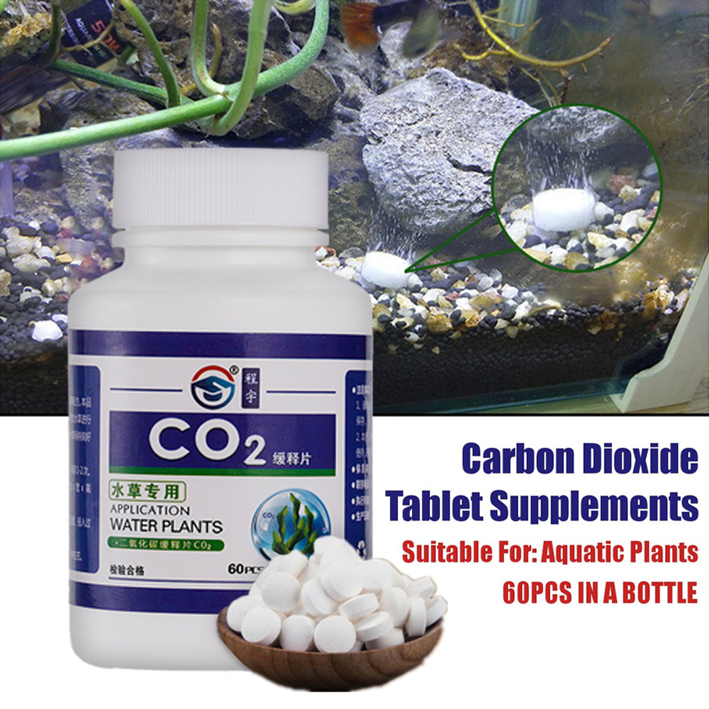 CO2 タブレット二酸化炭素ディフューザー水植物用水生葉フロ - Aquarium Plant Vitamins のレビューと価格